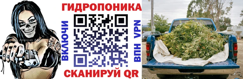 Конопля конопля Костомукша